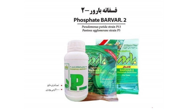بيع وتصدير الأسمدة البيولوجية الفوسفاتية
