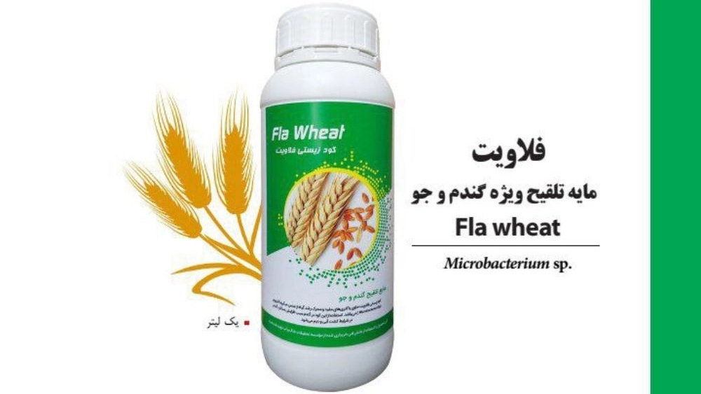 Wholesale sale and export of Flavit biofertilizer