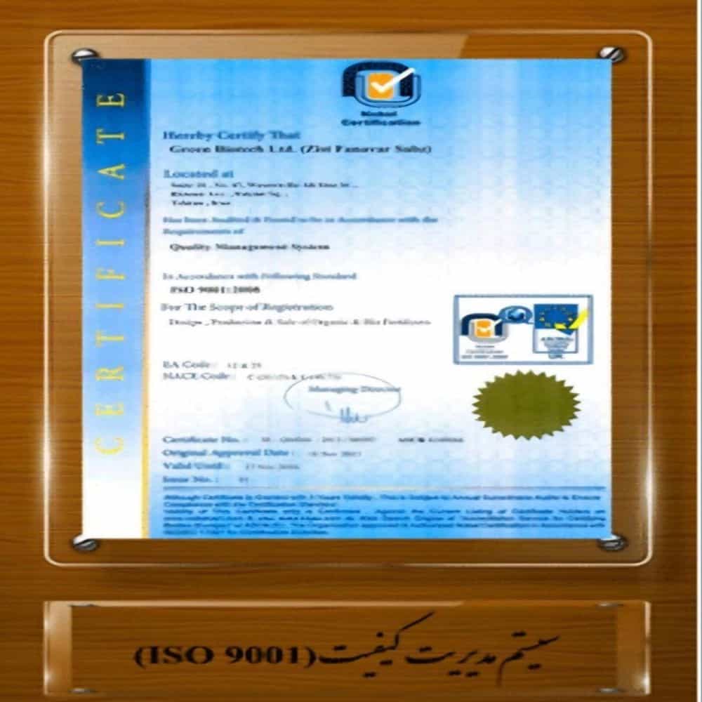 1732945321865.webp