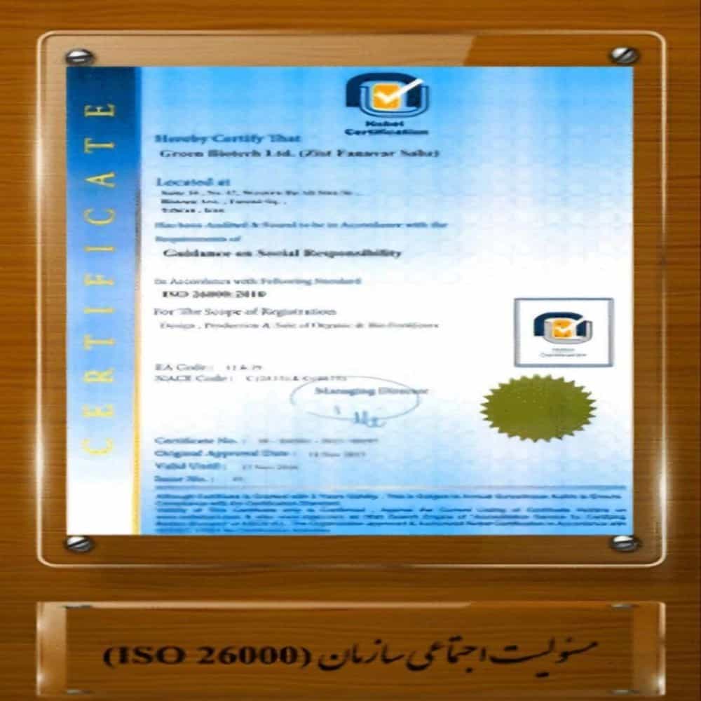 1732945383915.webp