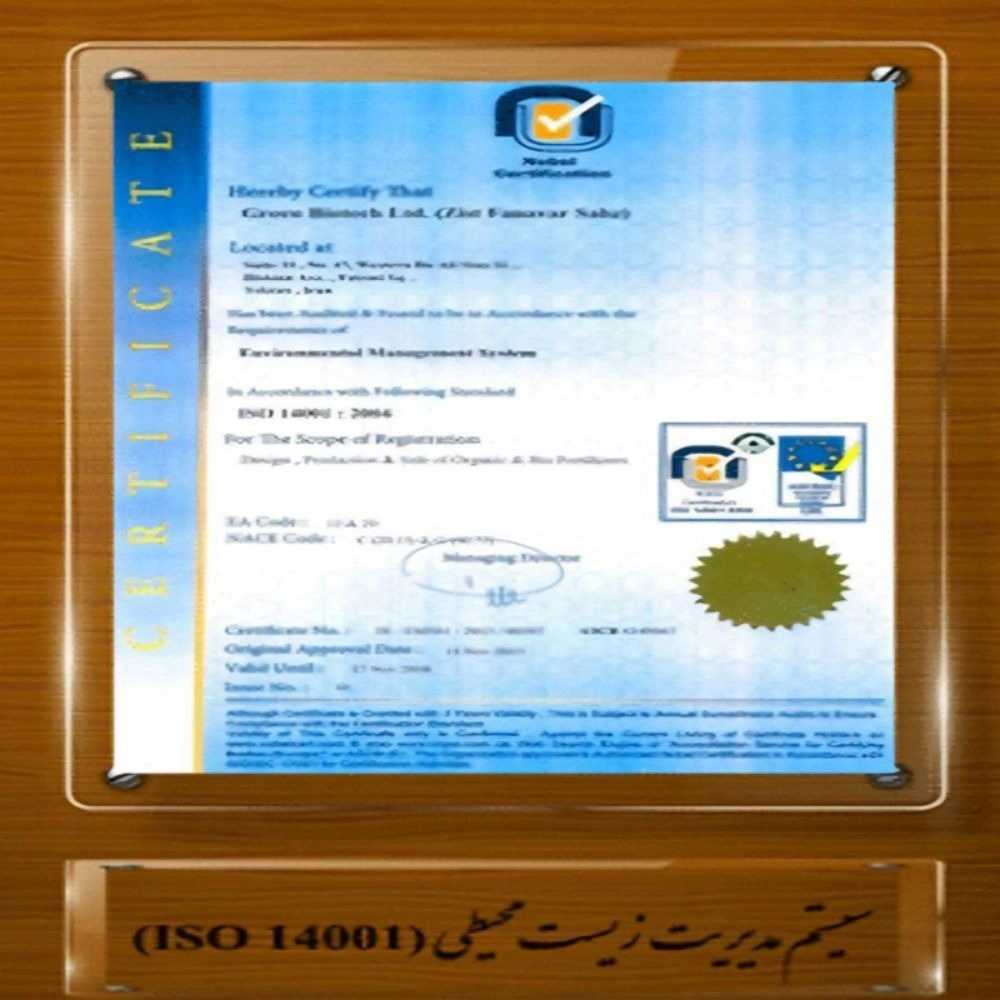 1732944916303.webp
